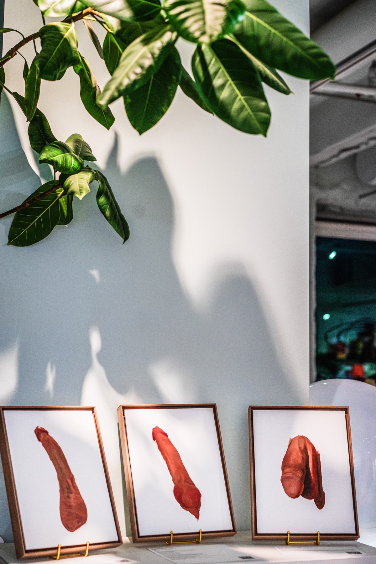 Three framed paintings rest on brass stands beneath a leafy plant.