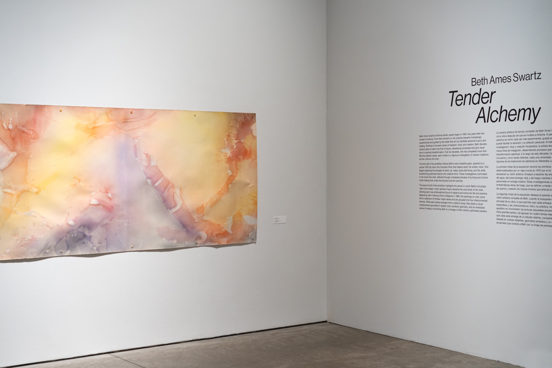 A softly colored artwork hangs beside the Tender Alchemy exhibition text in a white gallery.