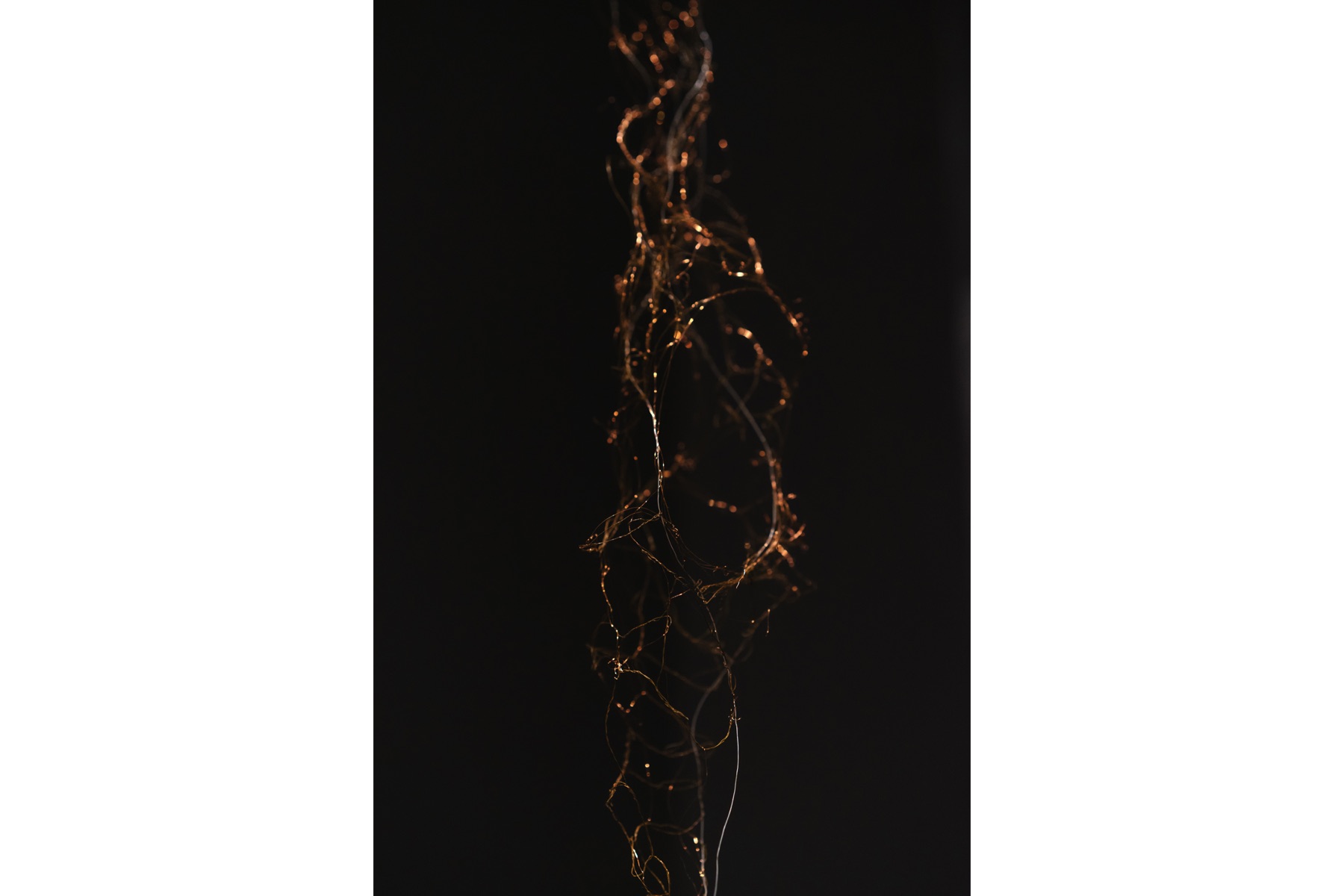 A delicate filament-like sculptural form hangs in darkness.