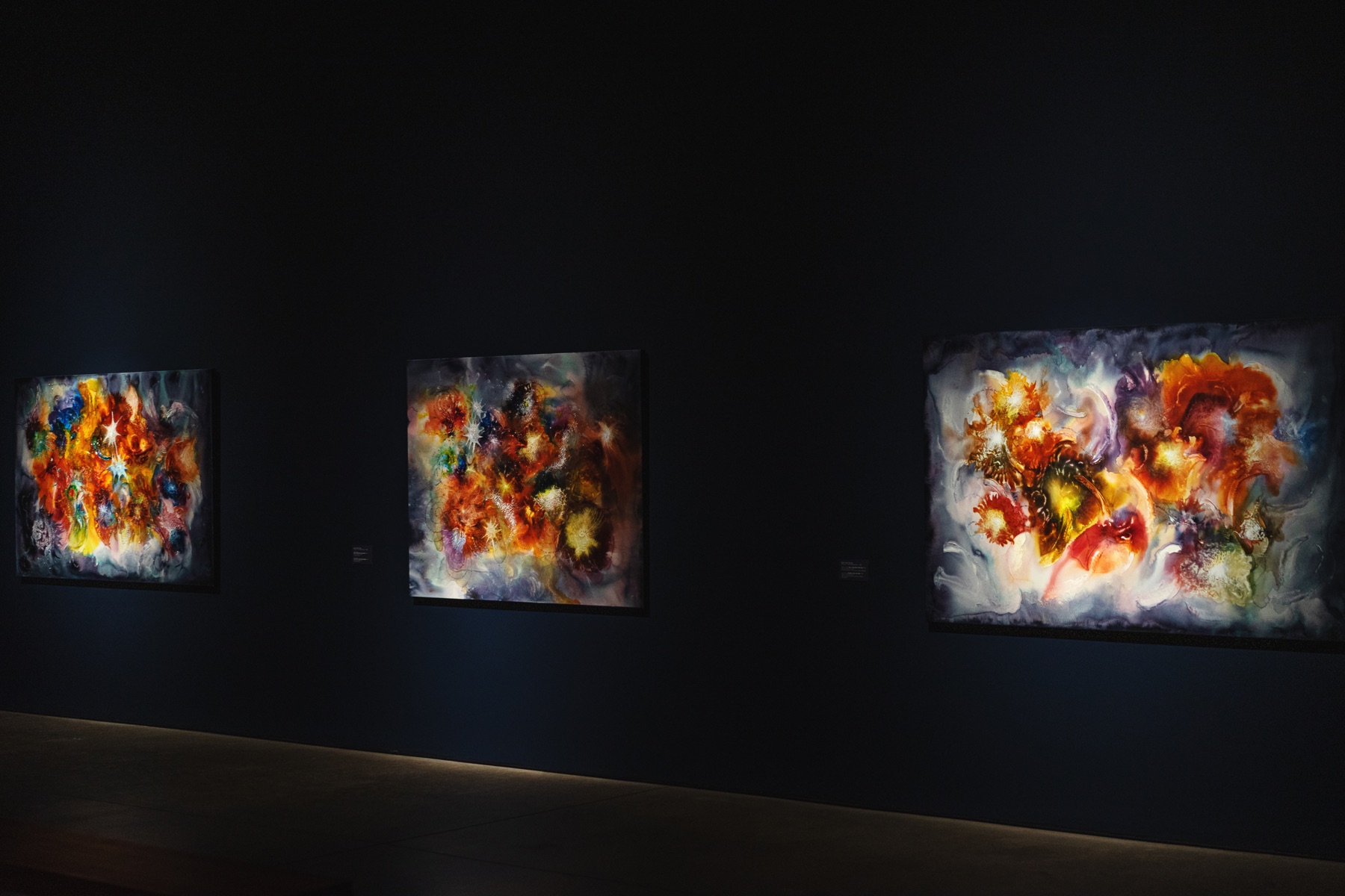 Three luminous abstract paintings glow against the dark walls of a gallery.