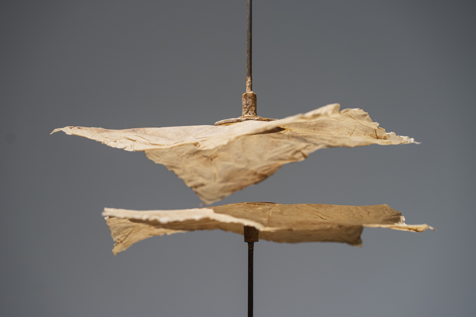 Two thin, irregular paper-like forms float one above the other on a metal support.