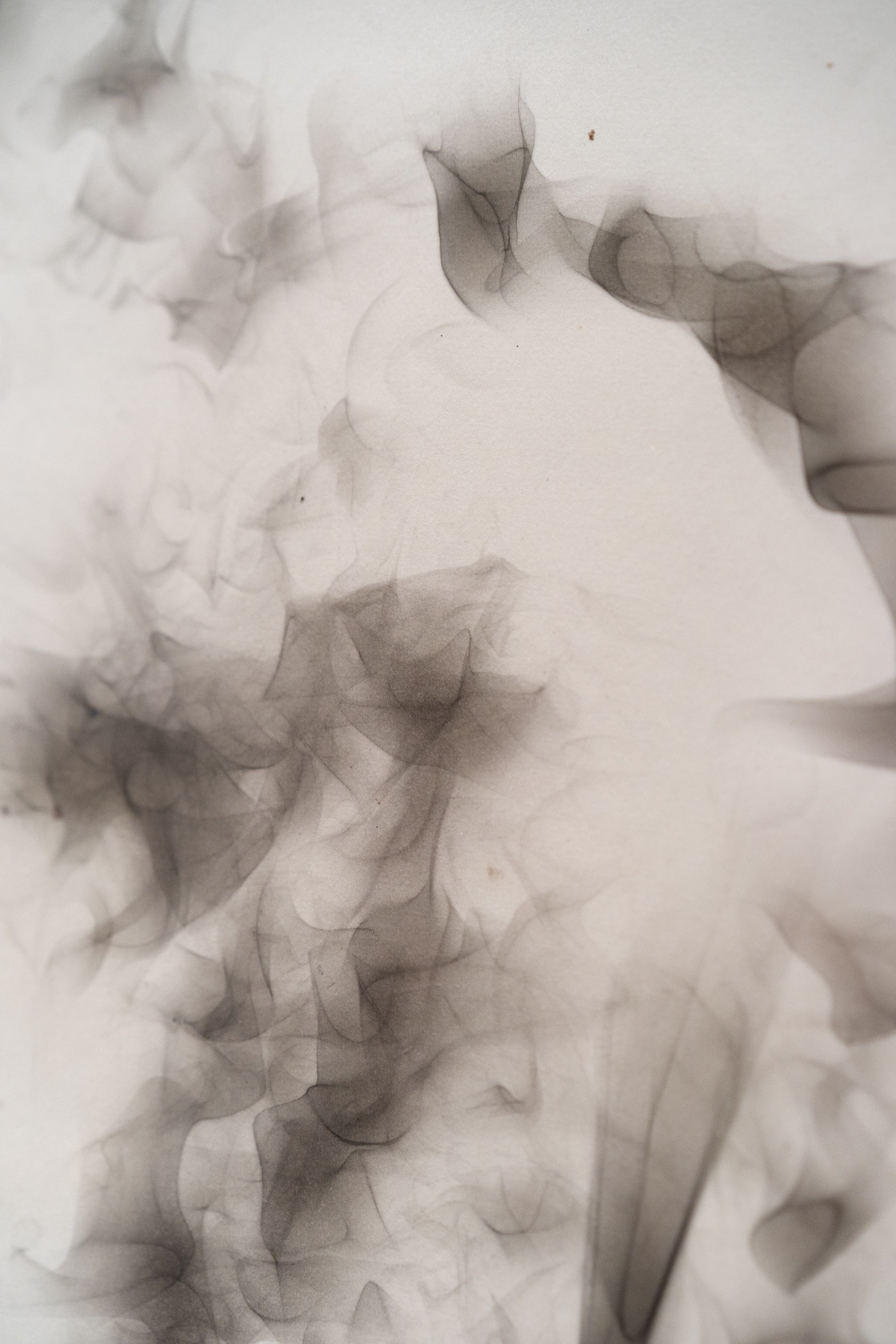 Soft overlapping translucent gray forms appear against a pale surface.